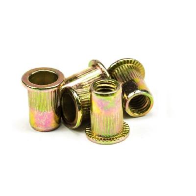 China Heavy Industry Industrial Rivet Screw Nuts Engineering Accessories Short Hair Industrial Rivet Nuts for sale