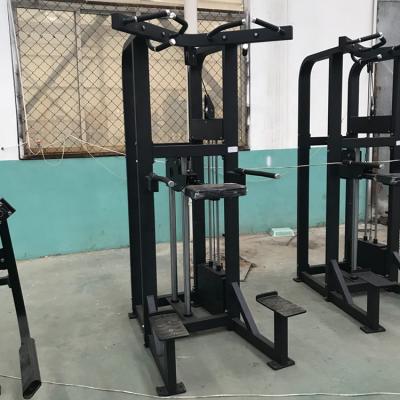 China Universal Bodybuilding Fitness Equipment Pin Loaded Assisted Chin / Dip Machine for sale