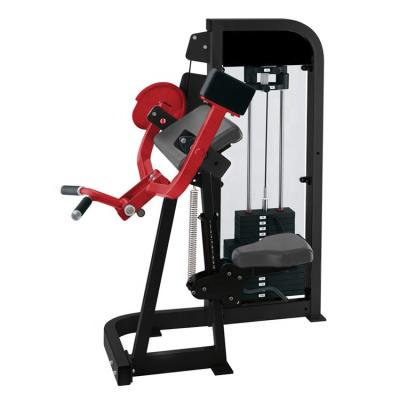 China DZSZ Universal Fitness Home Use Commercial Fitness Equipment Bodybuilding Pin Loaded Bicep Curl Machine for sale