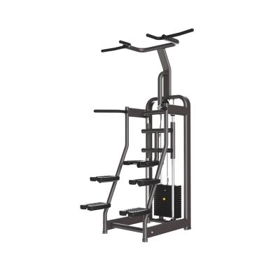 China New Style Sport Fitness Universal Good Quality Gym Equipment Free Weight Pln Loaded Easy Chin Dip Machine for sale