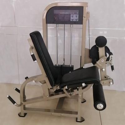 China Wholesale Cheap Leg Cuel Fitness Equipment Weight Gym Machine Leg Loaded Indoor Body Building Good Quality Commercial Use and Extend SF07 for sale