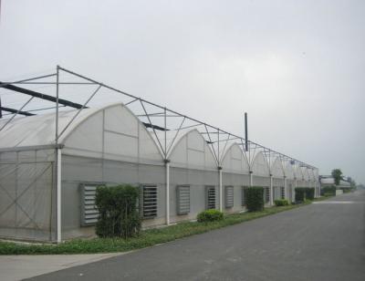 China 4000mm section plastic film Commercial greenhouses , 8000mm span for sale