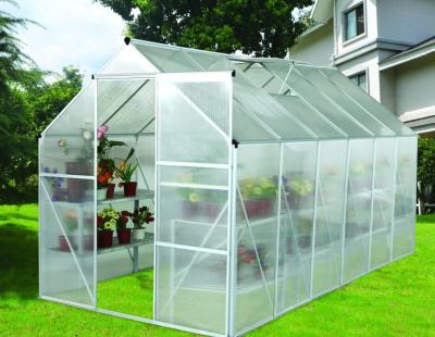 China 12x6 ft Modular Small DIY Backyard Greenhouse Kits With Powder Coated Metal Frame for sale