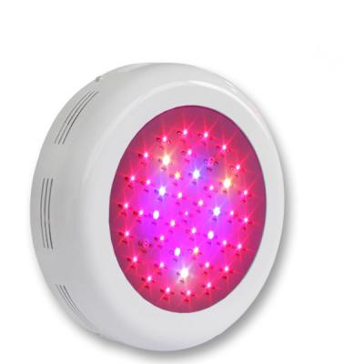 China Volles Spektrum-Betriebslicht Ip65 100 Lm/W 2700 - 6500k, Innen-LED wachsen Licht zu verkaufen