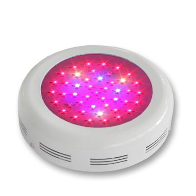 China Energy Saving Round LED Plant Grow Light 3w Color Changing For Plant Gorwing And Blooming for sale