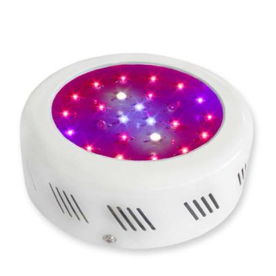 China Flowering LED Plant Grow Light 3watt Plant Growth With 50000 Hours Long Lifespan for sale