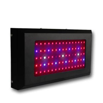 China Multi Anlage des Spektrum-LED wachsen helles 150watt, Zimmerpflanzen wachsen Lichter zu verkaufen