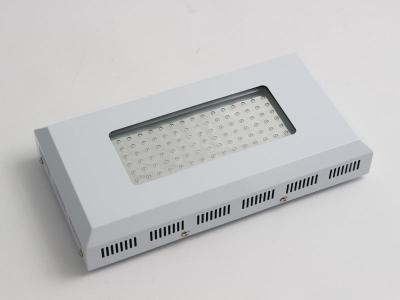 China Hohe Anlage des Lichteffekt-LED wachsen helle 90w-, Blaue und Roteled-Lichter für das Wachsen zu verkaufen