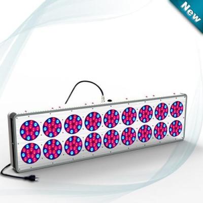 China Blue Red Hydroponics LED Grow Light 630nm / 460nm 612W~644W D C 32 ~ 45V , LED Plant Grow Lamp for sale