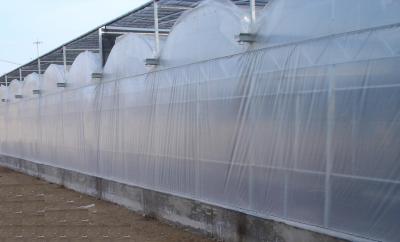 China 9600mm span Commercial greenhouses , 4000mm section air inflation film Venlo greenhouse for sale