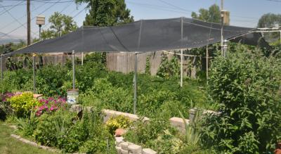 China Hohe Schirm-Energie-Garten-Schatten-Filetarbeit für Hof, HDPE mit UV zu verkaufen