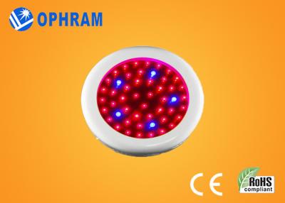 China El espectro completo LED de Epistar IP20 50W crece las luces para las flores AC85-265V en venta