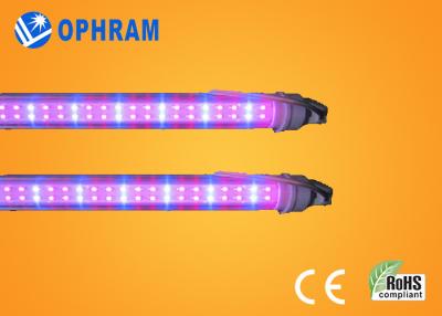 China 50Hz/60Hz 230V/240V el espectro completo LED crece las luces para la verdura en venta