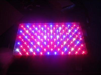 China 120W High power greenhouse LED Grow Light for sale