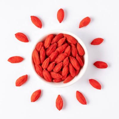 China Organic Food High Quality And Qinghai Organic Dry Lock Good Price Fresh Goji Berries for sale