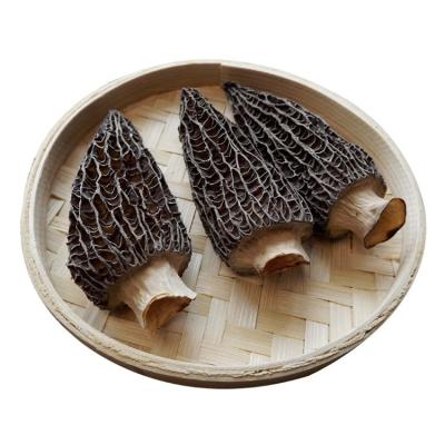 China Free Samples Dried Dried Nightshade Morchella Nightshades for sale