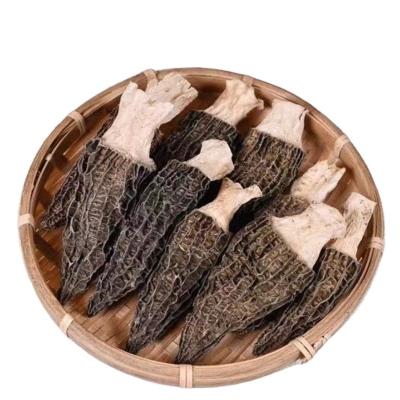 China Dried High Quality Health Spreads Nightshades Morchella for sale