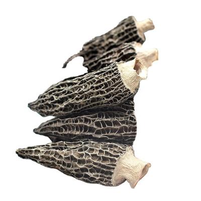 China Morchella Ssculenta Dry Dried Nightshade Mushroom Bulk Pack for sale