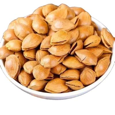 China Wholesale Hand Peeled Small Dried White Apricot Almonds for sale