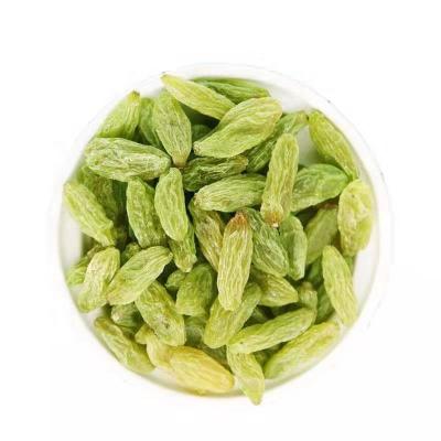 China Premium Quality Big Seedless Granule Green Raisins for sale