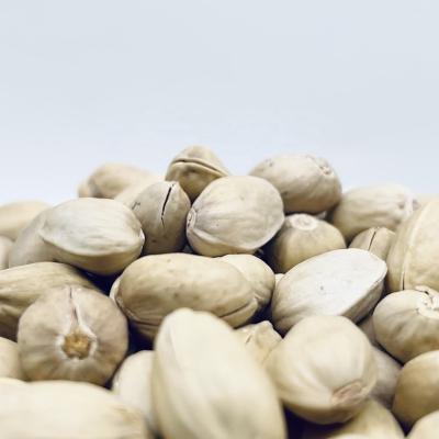 China China Supplier Wholesale Dried Roasted Pistachios for sale