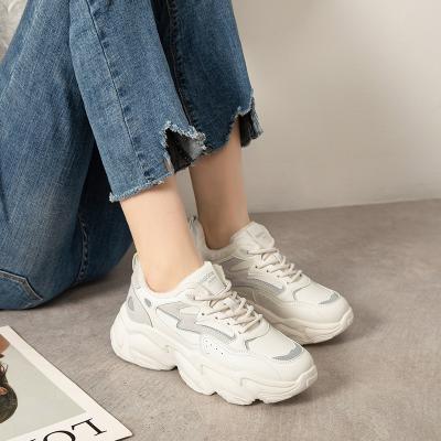 China Trend 2022 fashion spring and light new style fashion college summer running shoes sports casual shoes for sale