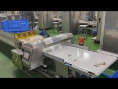 Digital Conveyor Metal Detector Food Safety / Medicine / Apparel Industry