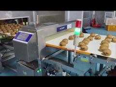 Food Metal Detector