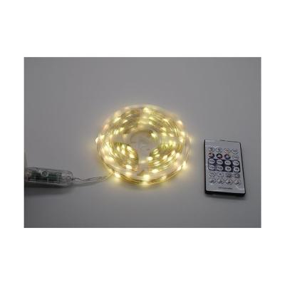 China LANDSCAPE Holiday Lighting Decoration Ws2812b Digital RGB Led String Light Handy Pixel Led Lighting For Christmas for sale