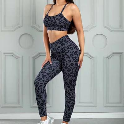 China Breathable Europe and the United States new yoga suit tight running fitness exercise leopard print set women's fitness suit for sale