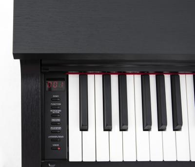 China Professional Electronic Keyboard Digital Upright Piano Professional, 88 Keyboard, 192 Polyphony, Factory Supply | DK-390 for sale