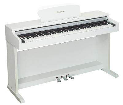 China Professional Electronic Keyboard Digital Grand Piano, Professional Electric Piano, 88 Keys, 5 Colors | DK-300 for sale