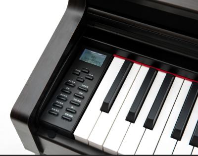 China Best Step Piano Digital Piano 88 Keys Hammer Action 1475*515*390 for sale