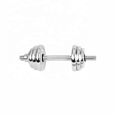 China DDS-Custom Cast Iron Round Exercise Dumbbell Kit Home Gym Equipment Stainless Dumbbell for sale