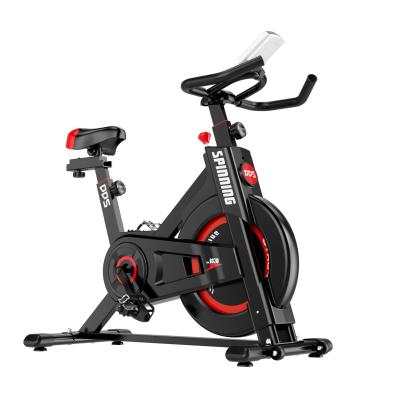 China Best Professional Fitness Steel Body Strong Spinning Swing Indoor Exercise Bike for sale