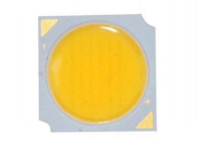 China 20 / 30 Watt 30v	Led Cob Light Panel	Ultra Bright House Lamps en venta