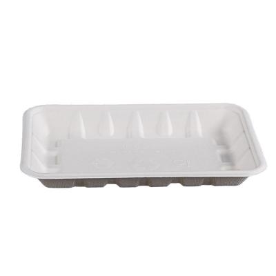 China 10 Inch Non-Slip Wholesale Rectangle Disposable Sugarcane Bagasse Paper Plate Anti-Slip Cake Grill Fruit Trays Plates For Party for sale