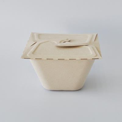 China Disposable Dish Bento Sushi Box Sugarcane Anti-Slip Custom Biodegradable Takeout Lunch Box Bowl with Plug Lid for sale