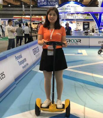 China Vespa eléctrica de Segway del mini equilibrio derecho del uno mismo neumático de 10 pulgadas con la barra de la manija en venta