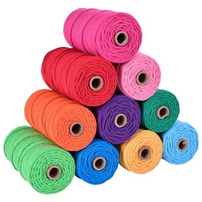 China 3MM Sustainable Drawstring Braided Rope Sweatshirts, Clothes, Apparel Crafts Multi Colors for sale