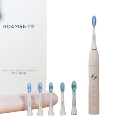 China OEM Custom Teeth Cleaner Whitening Electric Toothbrush RM-T5 from Guangdong Sonic Technology Automatic Private Label for sale