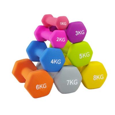 China China Custom Fitness Indoor Gym Hex Body Gym Fitness Logo Weight Free Dumbbells for sale