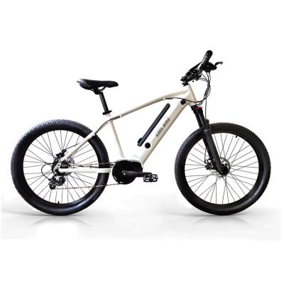 China Fat Tire Aluminum Alloy CMSTD-26MD 26Inch Folding Mountain Electric Bikes 36V 250W 32km/h New Fat Tire Outdoor Bicycle for sale