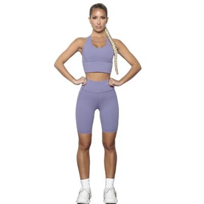 China Fashion New QUICK DRY Women's Athletic Biker Shorts In Power Flex Solid Color Performance Top And Bottom Stretch Sweat Wicking Women Two Piece for sale