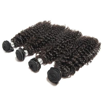 China Curly Cuticle Aligned Raw Brazilian Hair Bundles Double Drawn Curly Virgin Mink Brazilian Hair Donor Bundles Hair Bundles for sale