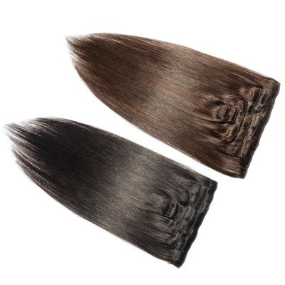 China Wholesale Raw Indian Silky Straight Wave Hair Clip 7pcs Natural 8pcs Per Clip Set In 100% Hair Extensions Hair Clips For Women for sale