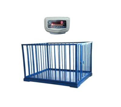 China Carbon Steel Or Stainless Steel Good Quality 2000kgs Digital Weighing Scales With Fence For Livestocks Weighing Scale for sale