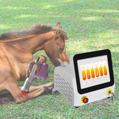 China Veterinary Pain Relief Use For Horses Sever Pain Relief For Animals Diode Laser for sale