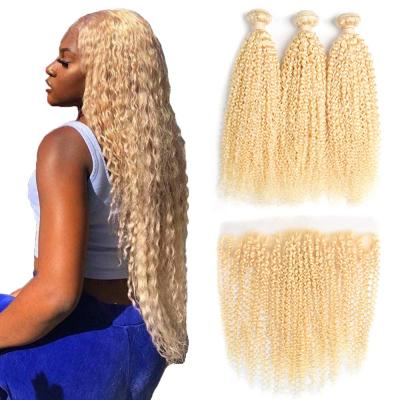 China Free Sample Water Wave Virgin Hair Bundle Cuticle Aligned Hair, Curly 613 Curly Hair Closure With Bundle, Raw Indian Temple Hair for sale