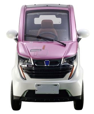 China Cheap And Equipped Chinese EEC L6e 4 Wheel Leather Mini Electric Car Without Driving License for sale